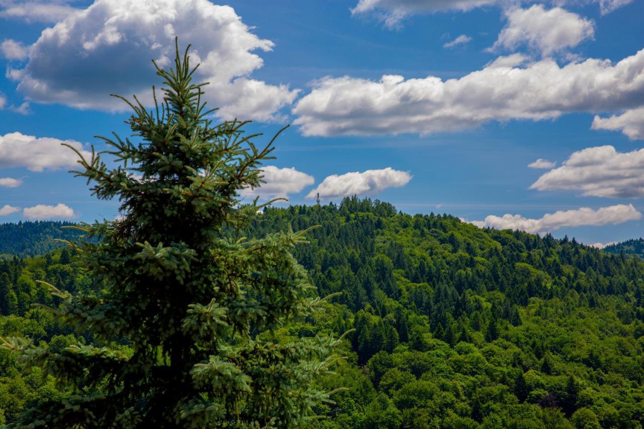 Sun & Sport Apartamenty Krynica-Zdroj Εξωτερικό φωτογραφία